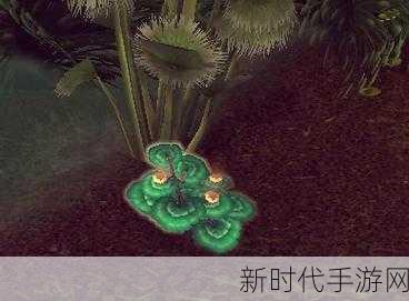 魔兽世界，探寻奥丹姆传送门的神秘所在