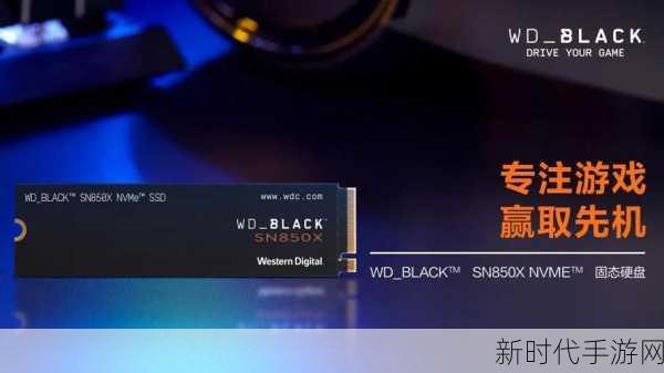 WD_BLACK硬核加持，街头篮球FSPL总决赛燃爆赛场