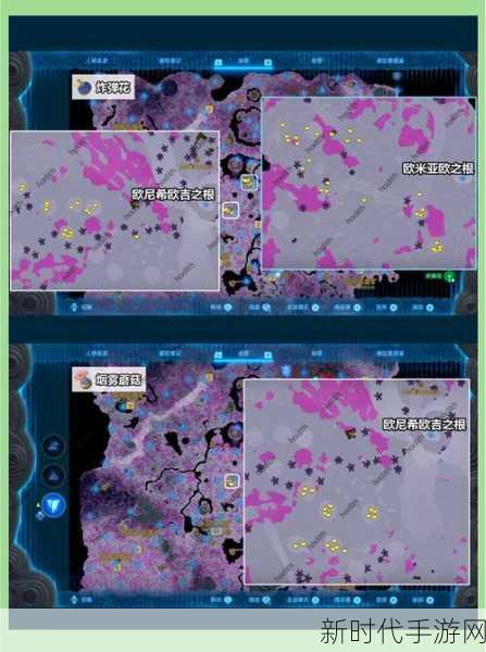 塞尔达传说王国之泪，光亮蘑菇神秘位置大揭秘