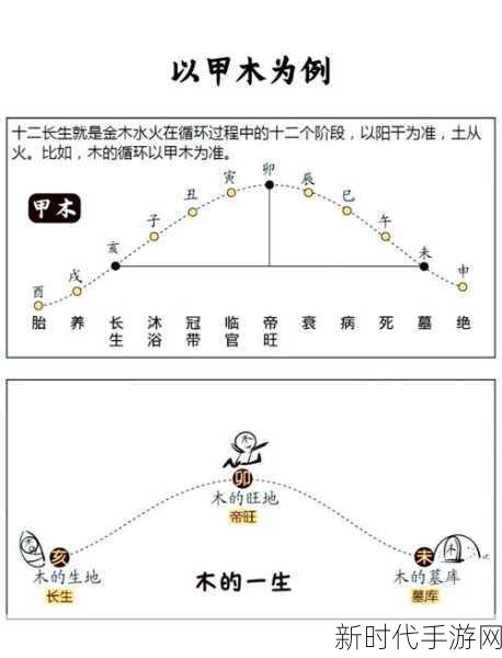 探秘问剑长生商店，独特玩法全解析