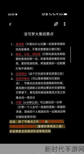 宝可梦大集结，深度解析历史战绩查看秘籍与精彩对战细节