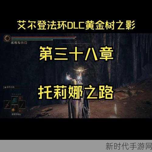 艾尔登法环黄金树之影 DLC，托莉娜支线全攻略秘籍