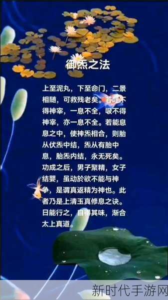 忘仙升级心法秘籍，修行平衡之道