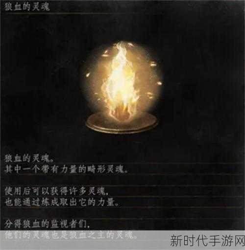 黑暗之魂3深度揭秘，世界观与神秘道具背后的故事