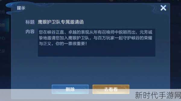 王者荣耀，揭秘鹰眼护卫队加入秘籍，提升游戏环境从我做起！