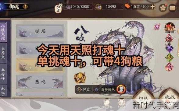 阴阳师顶尖攻略，天照御魂完美搭配策略揭秘