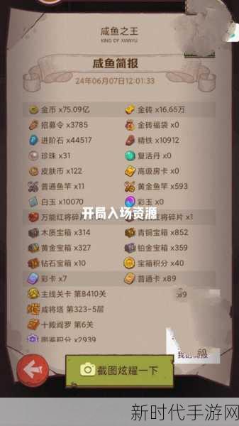 咸鱼之王攻略揭秘，突破6750关的高阶技巧与策略