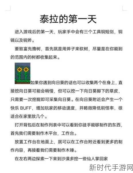 泰拉瑞亚深度探索，打造专属挖掘机教程与实战技巧